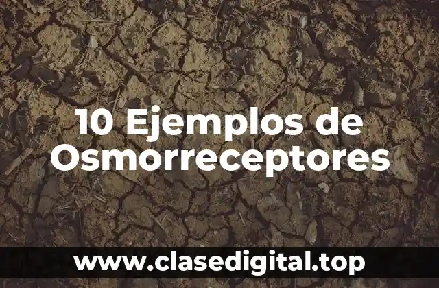 10 Ejemplos de Osmorreceptores
