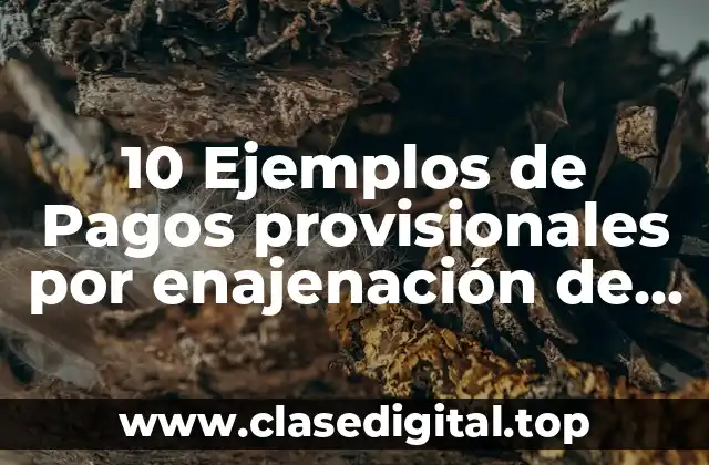 10 Ejemplos de Pagos provisionales por enajenación de bienes