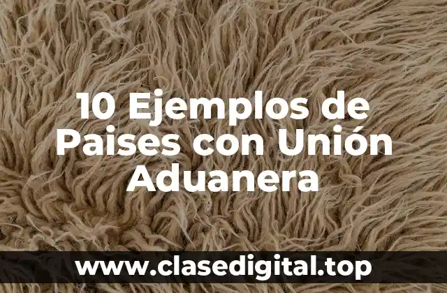 10 Ejemplos de Paises con Unión Aduanera
