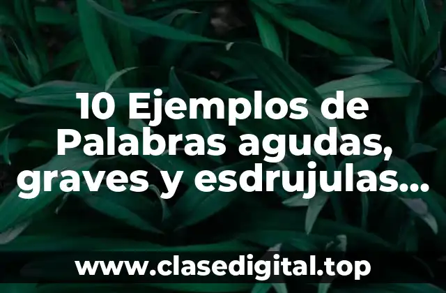 10 Ejemplos de Palabras agudas, graves y esdrujulas, hiato y diptongo