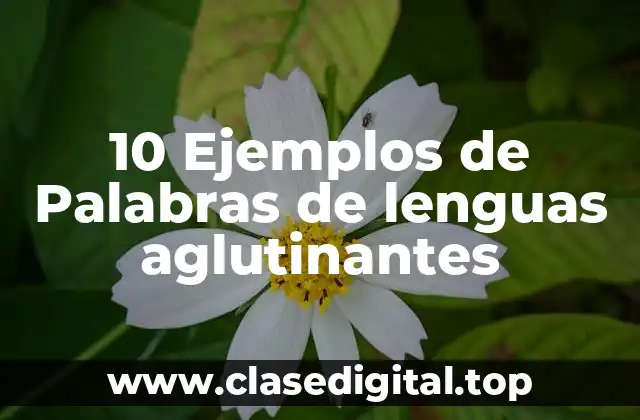 10 Ejemplos de Palabras de lenguas aglutinantes