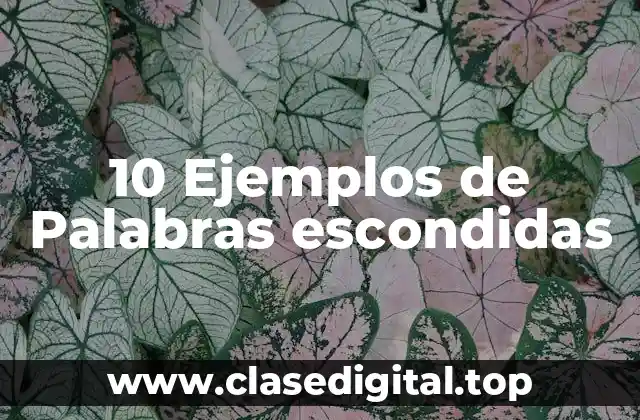 10 Ejemplos de Palabras escondidas
