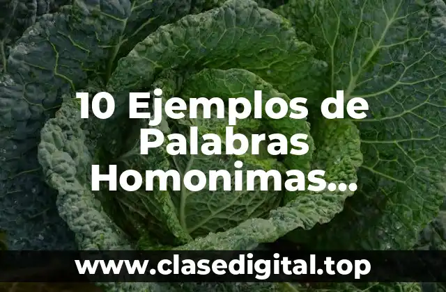 10 Ejemplos de Palabras Homonimas, Homografas y Homofonas