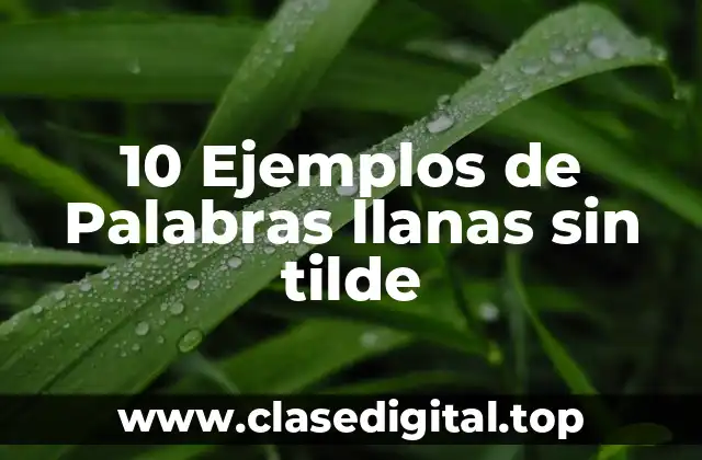 10 Ejemplos de Palabras llanas sin tilde