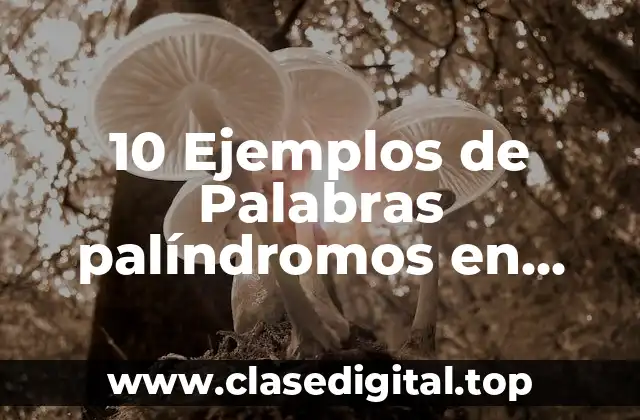 Ejemplos de palabras palíndromos en inglés