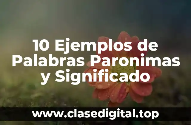 10 Ejemplos de Palabras Paronimas y Significado