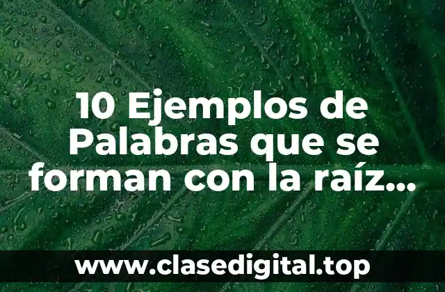 10 Ejemplos de Palabras que se forman con la raíz nauta