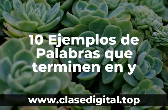 10 Ejemplos de Palabras que terminen en y