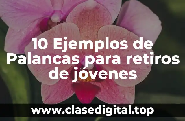 10 Ejemplos de Palancas para retiros de jóvenes