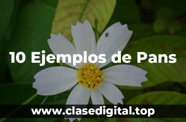 10 Ejemplos de Pans
