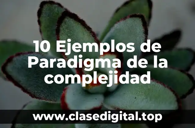 10 Ejemplos de Paradigma de la complejidad