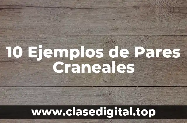 10 Ejemplos de Pares Craneales