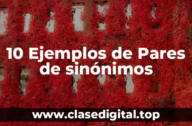 10 Ejemplos de Pares de sinónimos