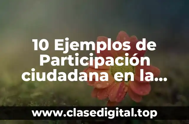 10 Ejemplos de Participación ciudadana en la democracia