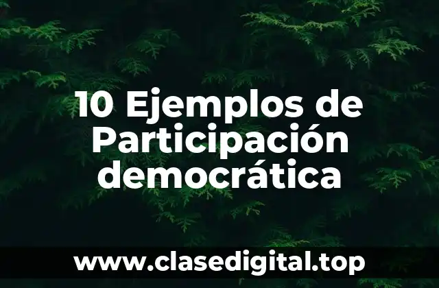 10 Ejemplos de Participación democrática