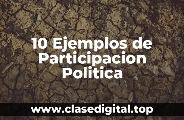 Ejemplos de Participación Política