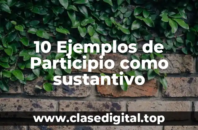 10 Ejemplos de Participio como sustantivo