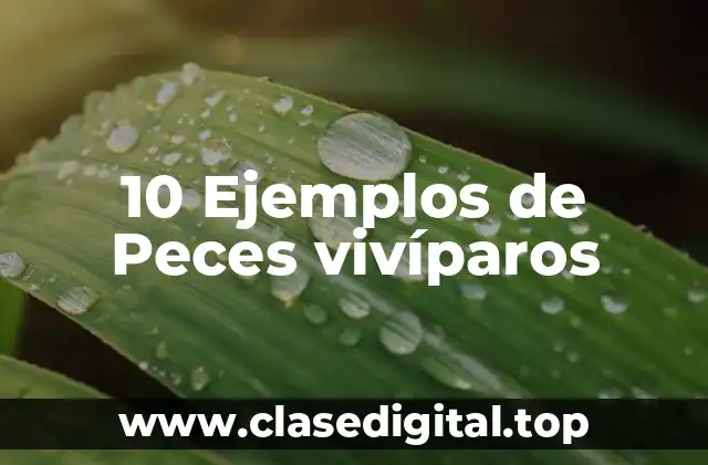 10 Ejemplos de Peces vivíparos