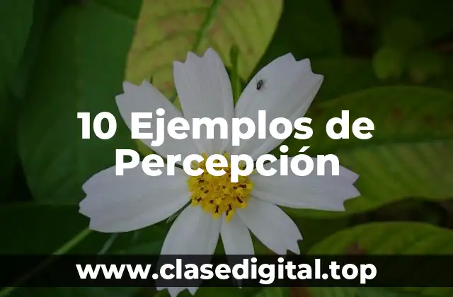 10 Ejemplos de Percepción