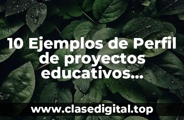 10 Ejemplos de Perfil de proyectos educativos innovadores