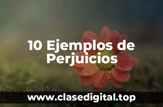10 Ejemplos de Perjuicios
