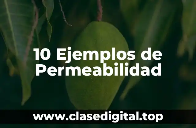 10 Ejemplos de Permeabilidad