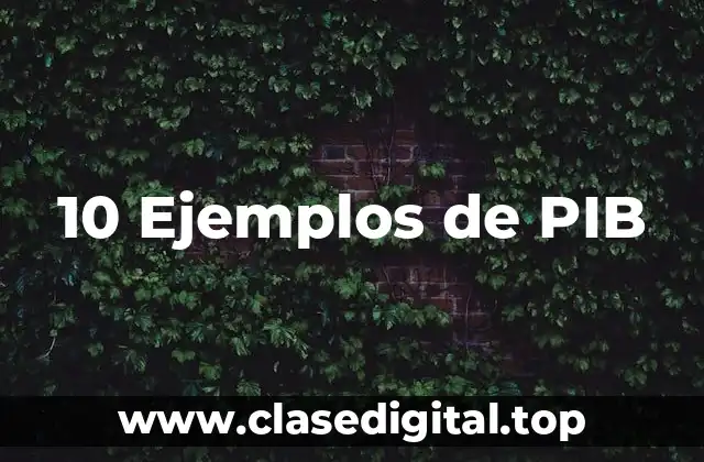 10 Ejemplos de PIB
