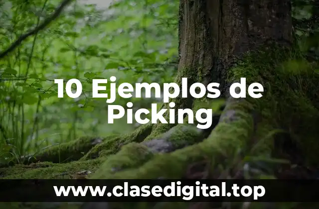 10 Ejemplos de Picking