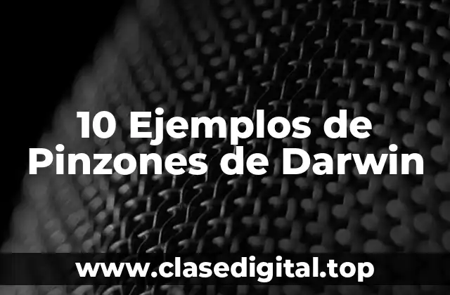 10 Ejemplos de Pinzones de Darwin