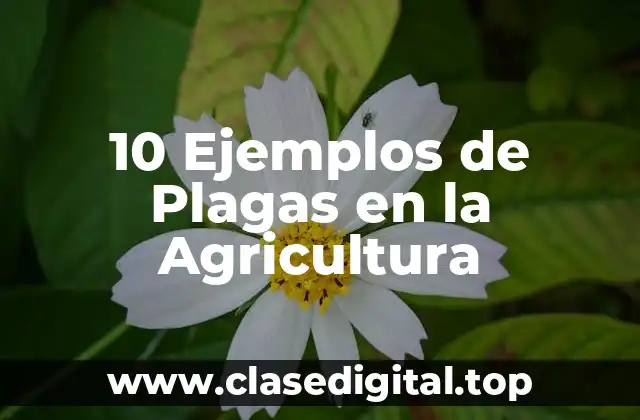 10 Ejemplos de Plagas en la Agricultura