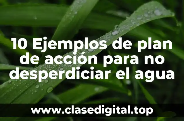 10 Ejemplos de plan de acción para no desperdiciar el agua