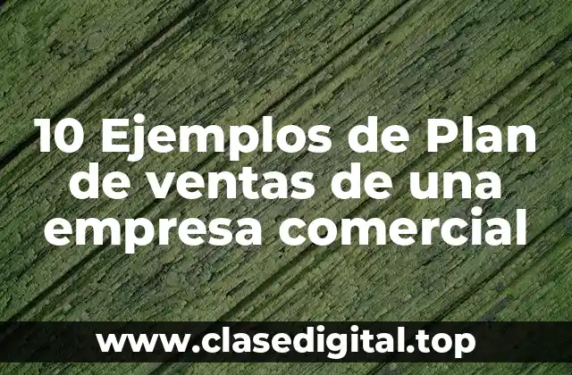 10 Ejemplos de Plan de ventas de una empresa comercial