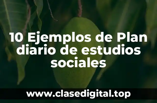 10 Ejemplos de Plan diario de estudios sociales