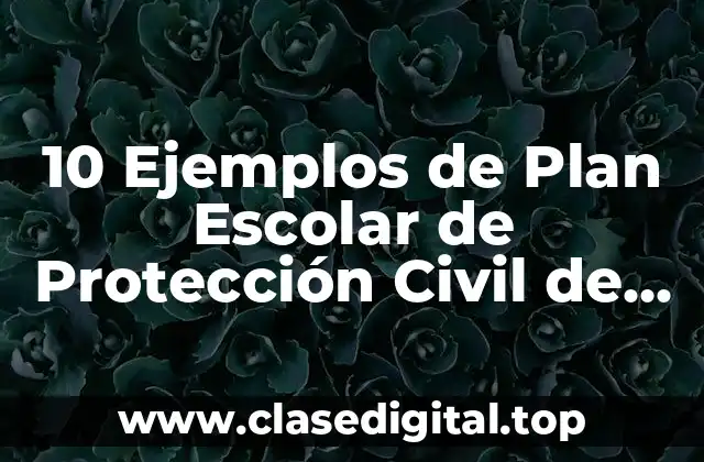 10 Ejemplos de Plan Escolar de Protección Civil de Frentes Fríos