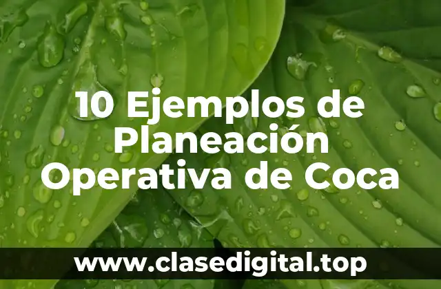 10 Ejemplos de Planeación Operativa de Coca