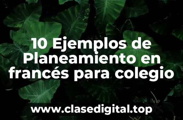 10 Ejemplos de Planeamiento en francés para colegio