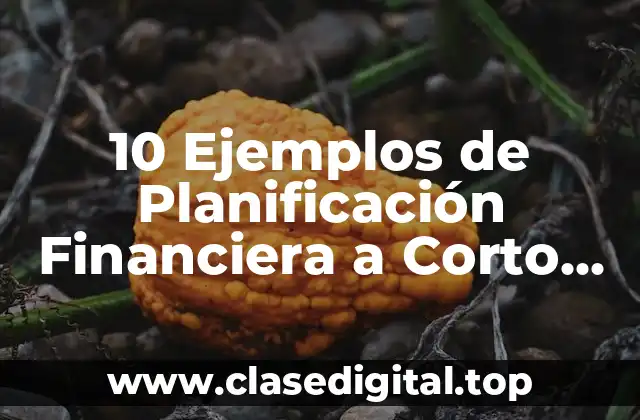 10 Ejemplos de Planificación Financiera a Corto Plazo