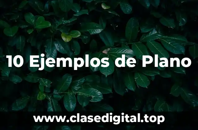 Ejemplos de planos