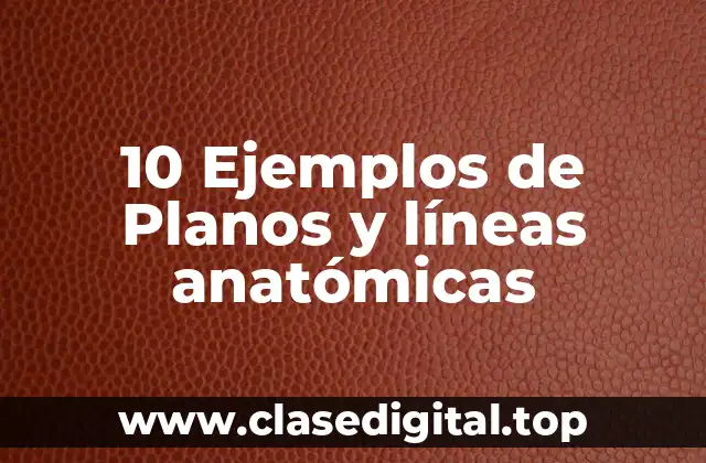 10 Ejemplos de Planos y líneas anatómicas