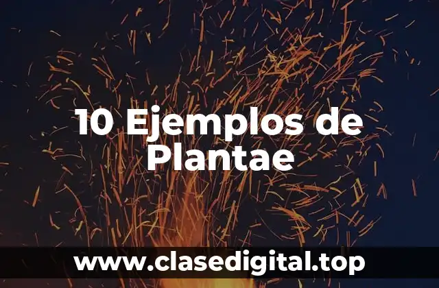 10 Ejemplos de Plantae