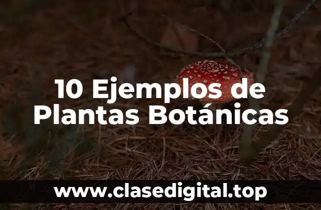 10 Ejemplos de Plantas Botánicas