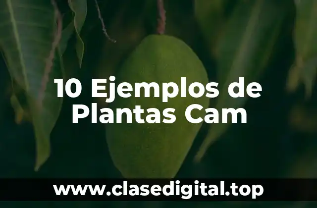 10 Ejemplos de Plantas Cam