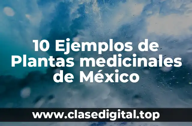 10 Ejemplos de Plantas medicinales de México