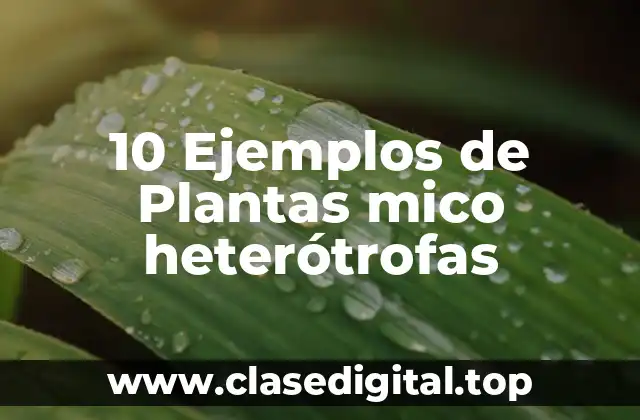 10 Ejemplos de Plantas mico heterótrofas