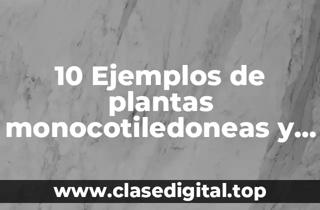 10 Ejemplos de plantas monocotiledoneas y dicotiledoneas wikipedia