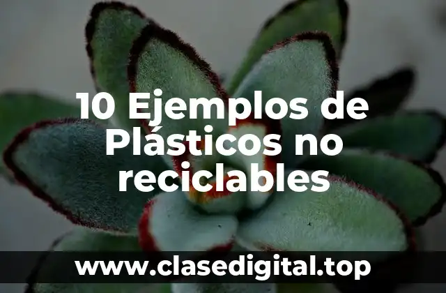 10 Ejemplos de Plásticos no reciclables