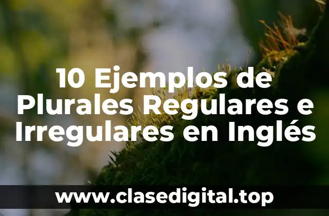 10 Ejemplos de Plurales Regulares e Irregulares en Inglés