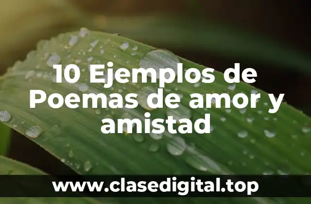 10 Ejemplos de Poemas de amor y amistad