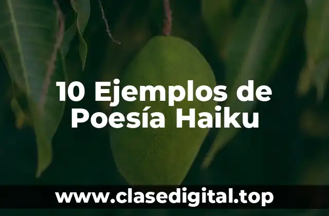10 Ejemplos de Poesía Haiku