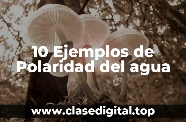 10 Ejemplos de Polaridad del agua